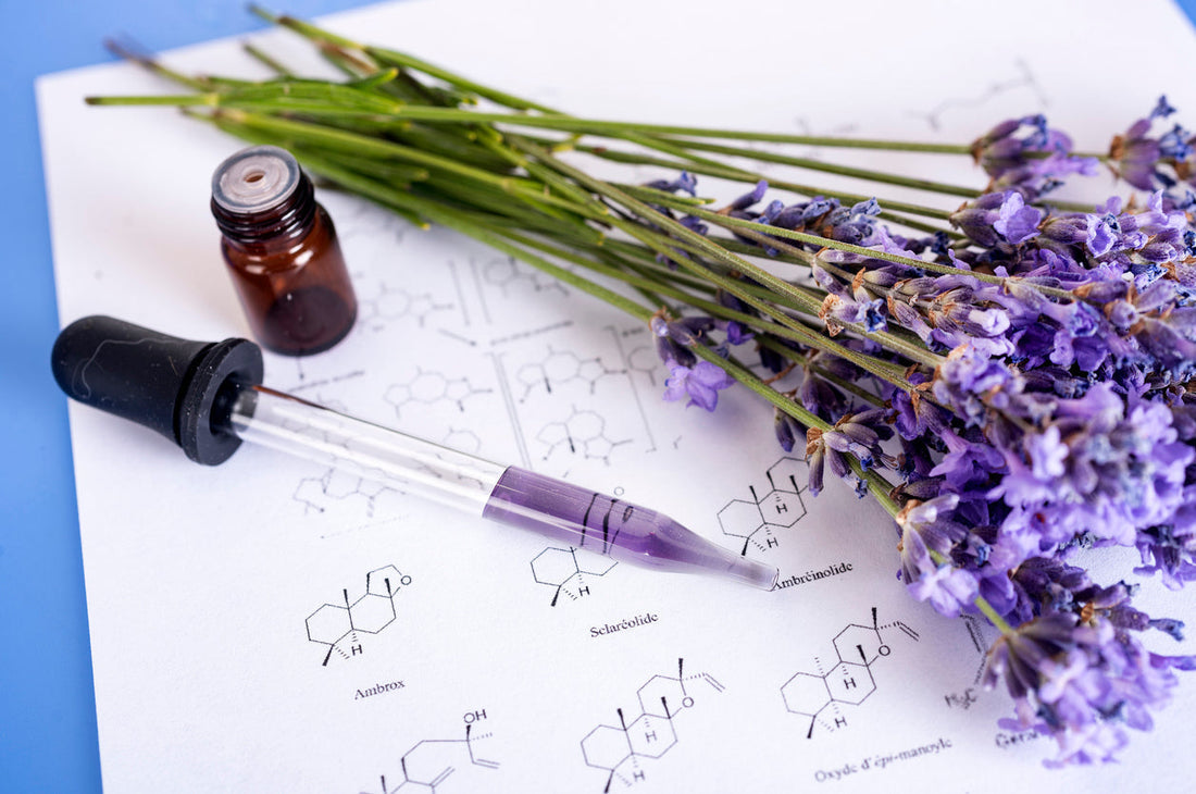 Unlock Your Memory with Aromatherapy: How Scent and the Olfactory Gland Boost Your Study Sessions