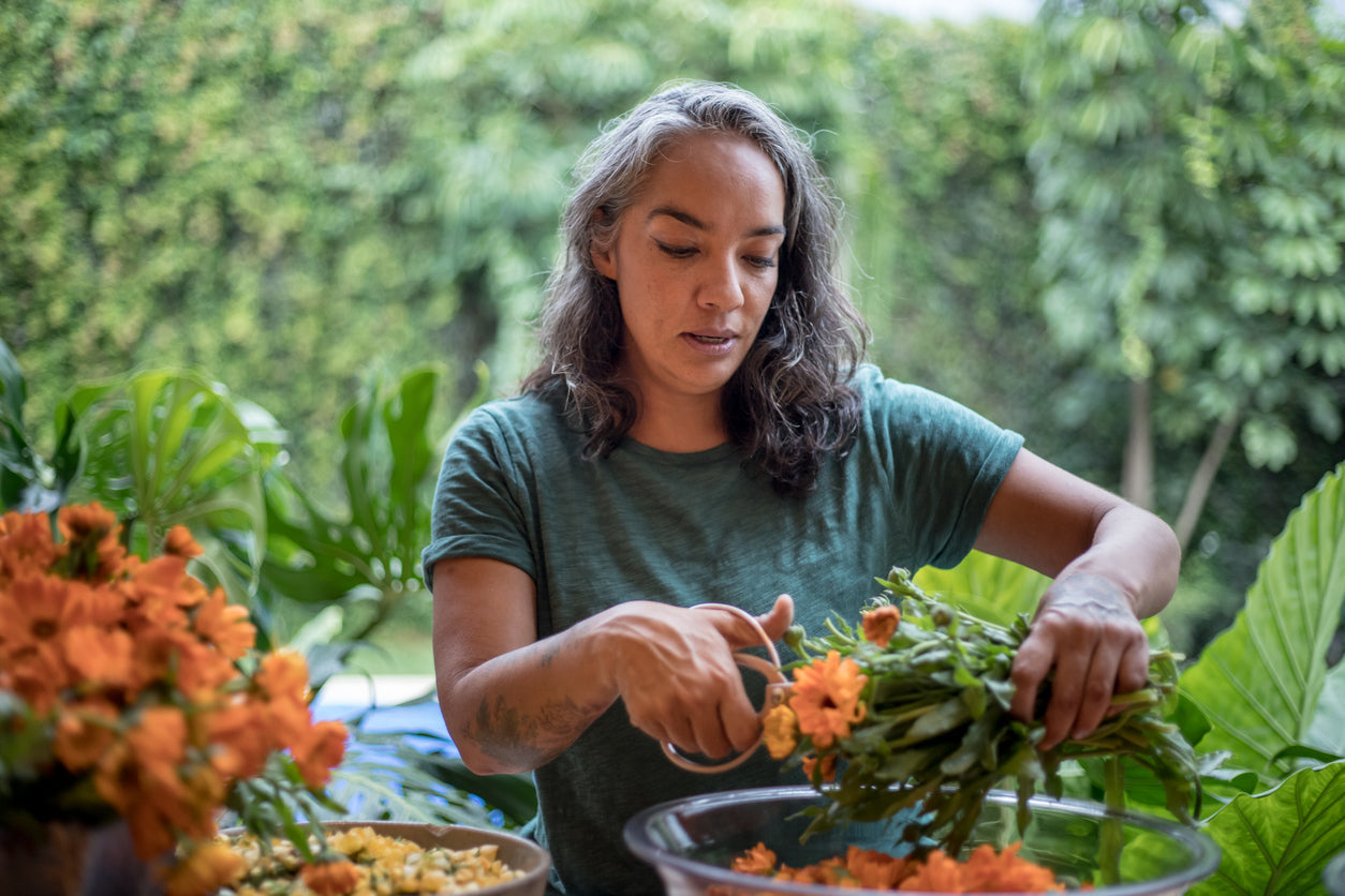 Calendula: Its Healing Properties and Use of Calendula Oil