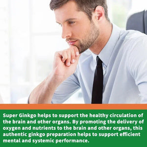 Ginkgo Biloba Capsules - Brain Supplement, Brain Function, To Enhance Memory and Concentration