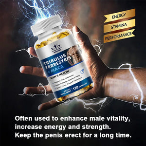 Natural plant extract Terrestris ginseng maca