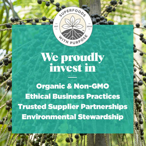 Navitas Organics, Organic Acai Powder, 4 oz (113 g) - EXP JUN - 2025