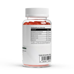 Ashwagandha + Vitamin B6 Gummies - 60