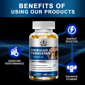 Natural plant extract Terrestris ginseng maca