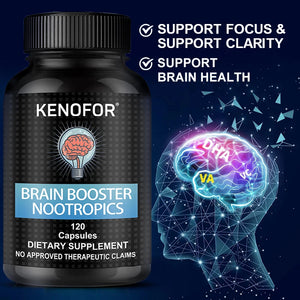 Brain Function Supplements