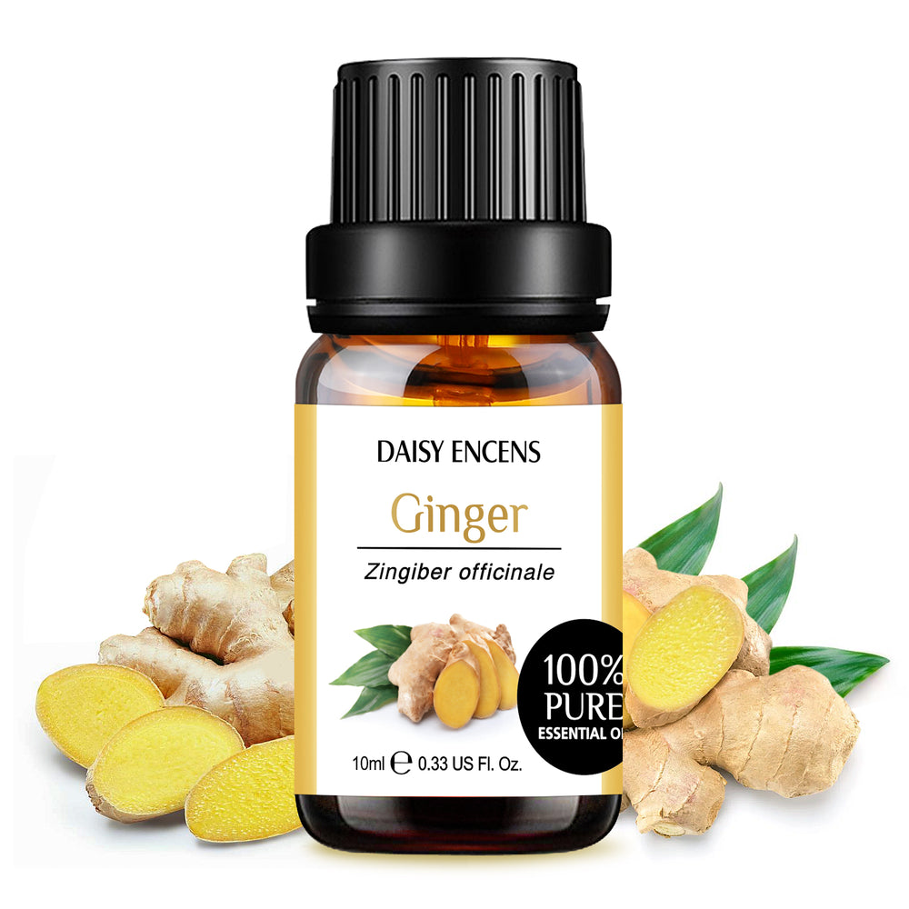 Ginger Pure Essential Oil 10ml