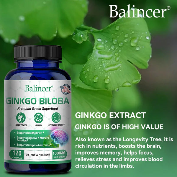 Balincer Ginkgo Leaf Extract Supplement - For Brain, Memory Health - Adult Nootropic Focus Supplement | Non-GMO