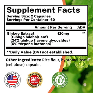 Ginkgo Biloba Capsules - Brain Supplement, Brain Function, To Enhance Memory and Concentration