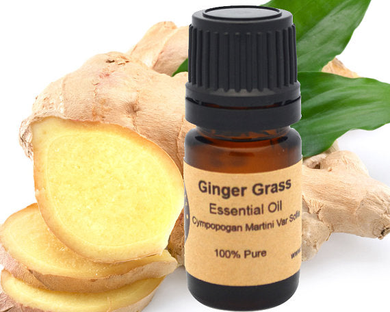 Ginger Grass Essential Oil 15 ml